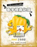 多肉芒果 • 電子煙ILIA煙彈現貨 通用各式1代主機