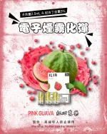 紅心芭樂 • ILIA POD 哩亞電子煙彈一代 2.5ml/3枚