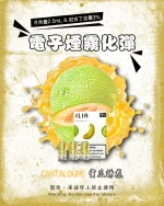 蜜瓜誘惑 • 哩亞煙彈 ILIA一代霧化彈 2.5ml/3枚入