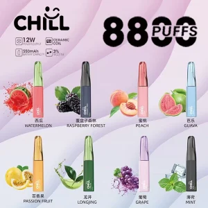 鴨嘴獸/CHILL 8800口一次性電子菸 8ml大容量煙油