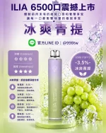 ILIA拋棄式6500口 冰爽青堤 ILIA電子煙 正品現貨